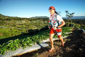 BIB: 219
                            <button type="button" onclick="openModal(19110382)" class="btn btn-primary btn-sm float-right btn-popup" data-toggle="modal" data-target=".modal-high-quality">
                        <i class="fas fa-shopping-cart"></i> Add to Cart
                    </button>
                                            <button type="button" onclick="isThisMe(19110382, true)" class="btn btn-success btn-sm float-right btn-popup btn-isme hidden" data-toggle="tooltip" data-placement="bottom" title="นี่คือรูปของคุณใช่ไหม คลิกที่นี่เพื่อเอาเข้าอัลบั้ม">
                        <i class="fas fa-plus"></i> Add to album
                    </button>
                    <button type="button" onclick="isThisMe(19110382, false)" class="btn btn-warning btn-sm float-right btn-popup btn-isnotme hidden">
                        <i class="fas fa-ban"></i> Remove from album
                    </button>